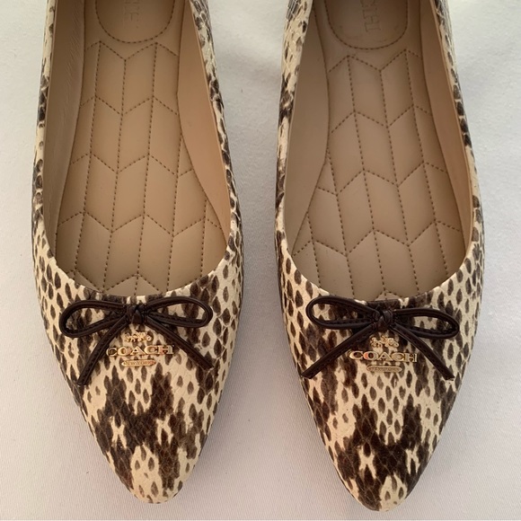 Coach Annabel Snakeskin Ballet Flats - Picture 8 of 11